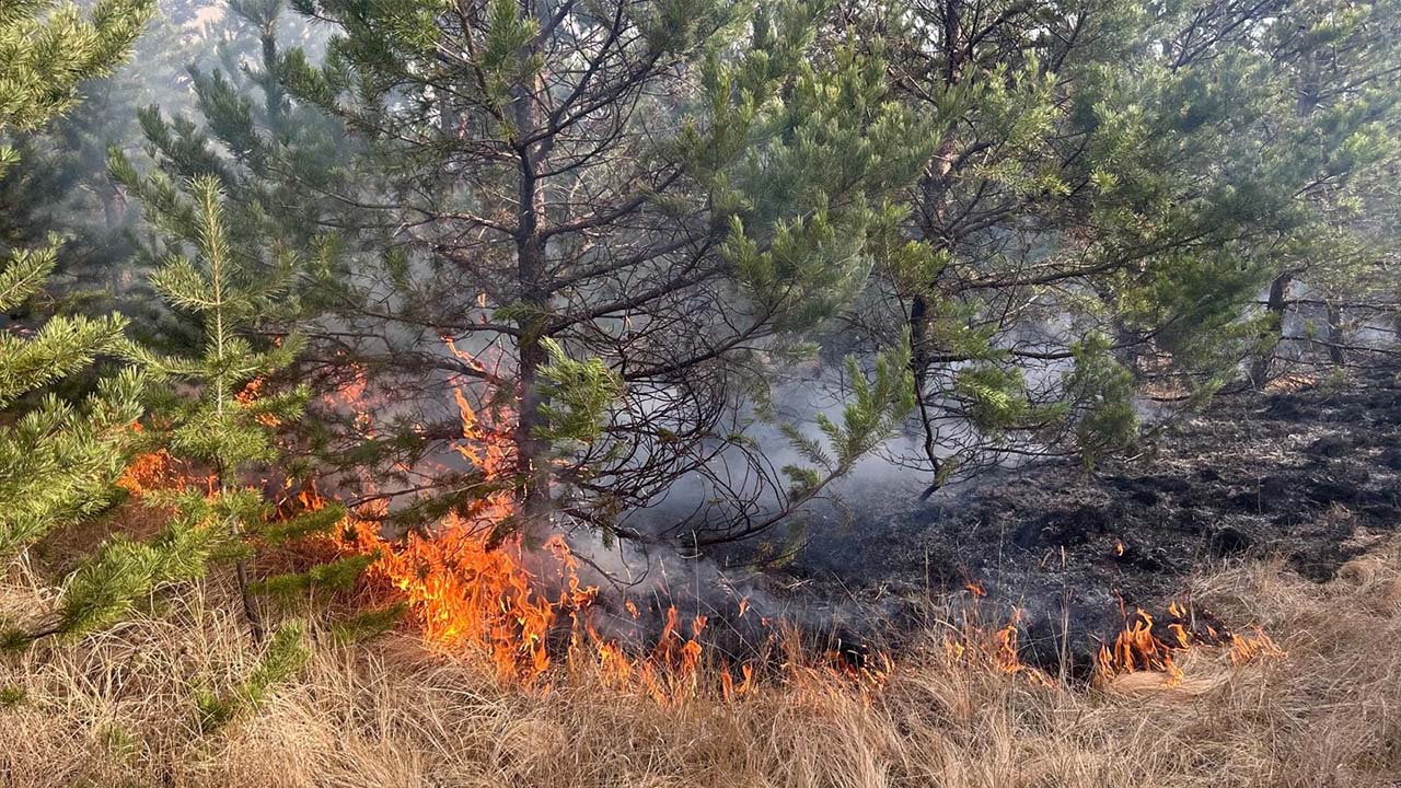 Kars’ta örtü yangını