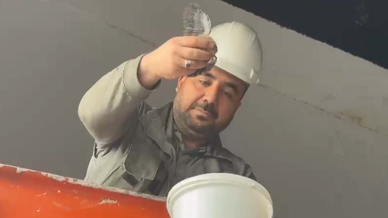 Diyarbakır’da çatıda mahsur kalan kumru ve yavrusu kurtarıldı