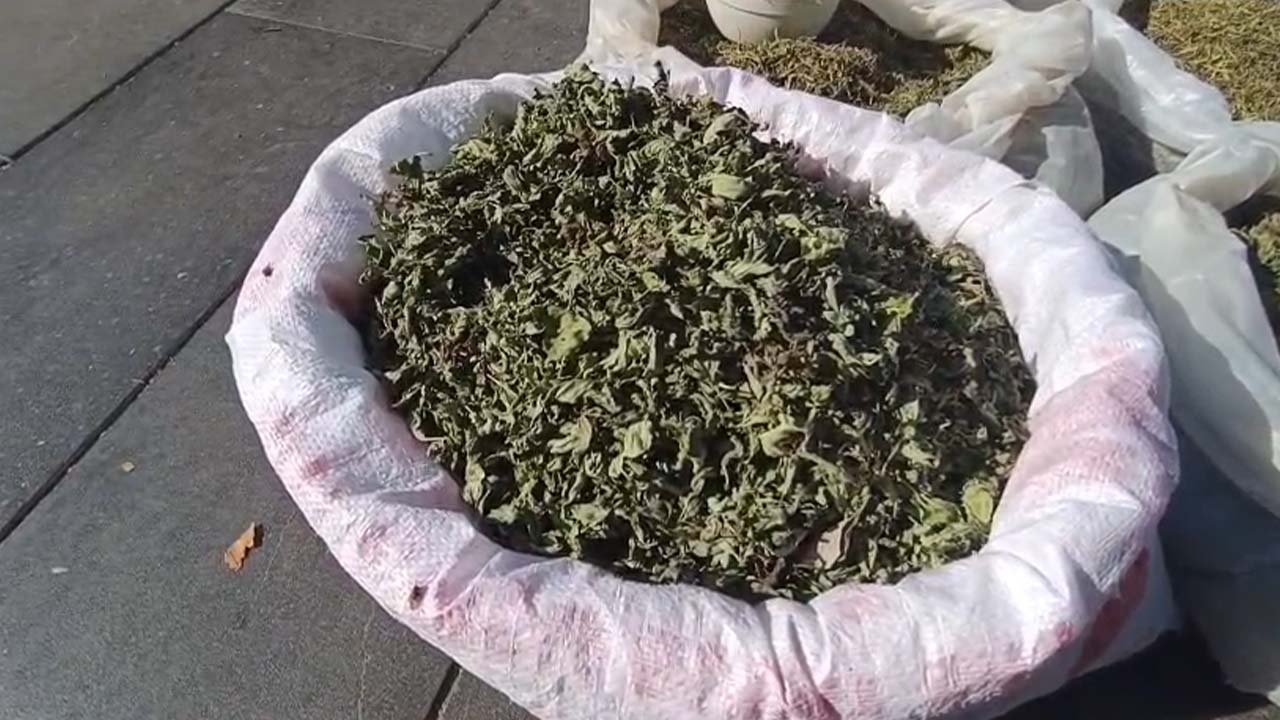 Kulp’un dağlarından Diyarbakır’a: Kilosu 1500 lira