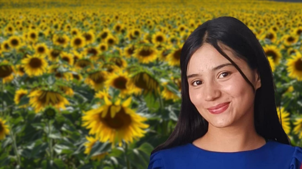 Ayçiçeği tarlasında feci kaza: 14 yaşındaki Nursefa kurtarılamadı