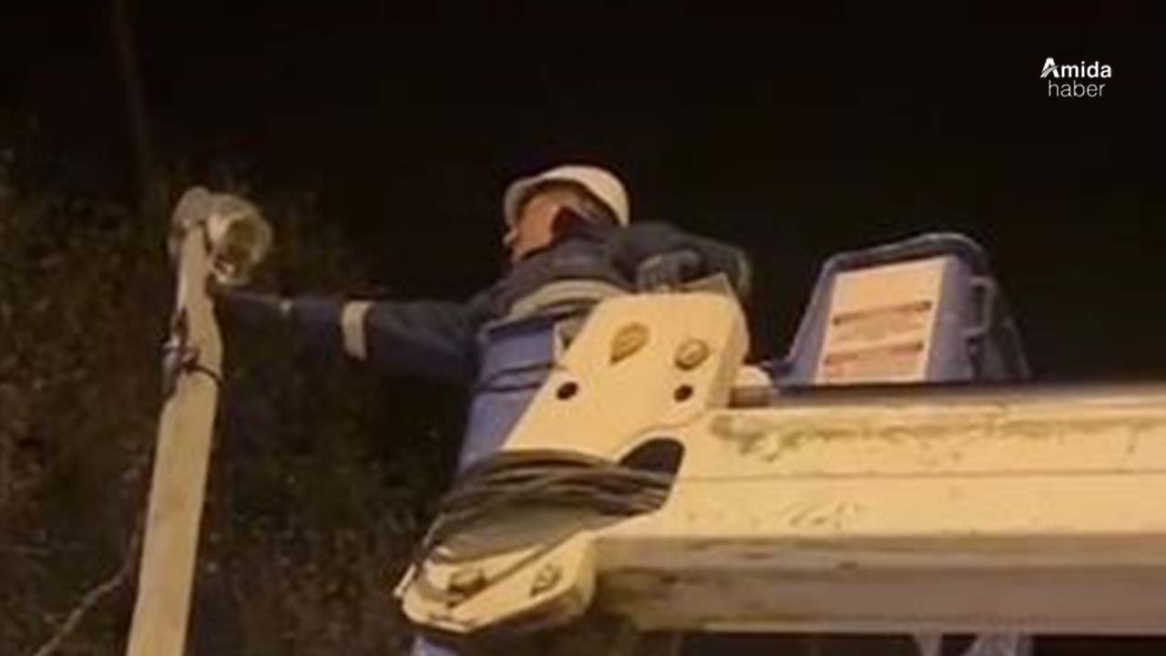 Ardahan’da direkte mahsur kalan kedi kurtarıldı