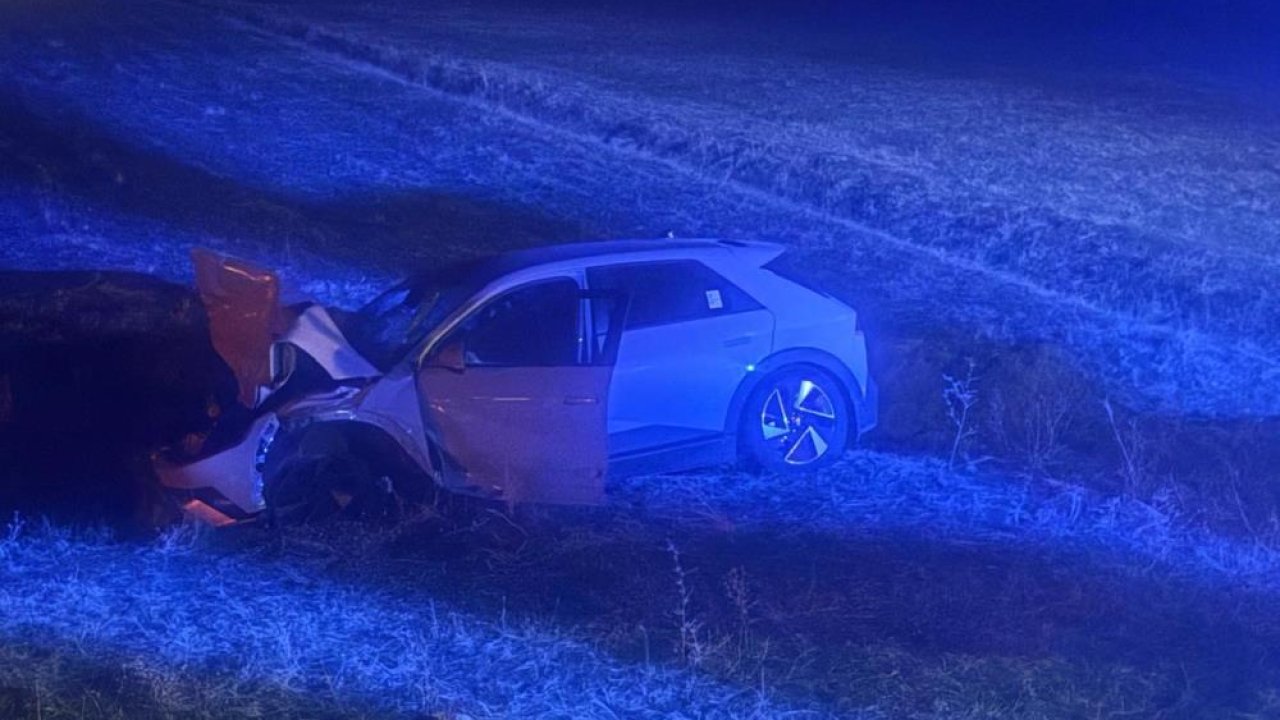 Muş’ta yola çıkan inekle otomobil çarpıştı