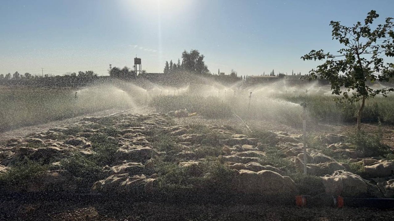 Mardin’den 15 ile 1,5 milyon tuz çalısı gönderildi