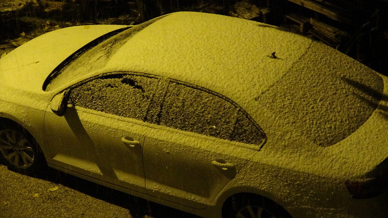 Bitlis'te kar yağışı etkili oldu