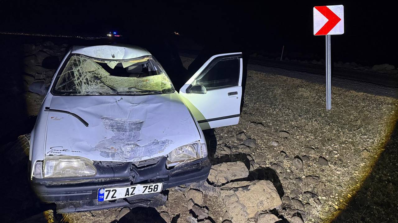 Otomobil yola çıkan eşeğe çarptı: 1 yaralı