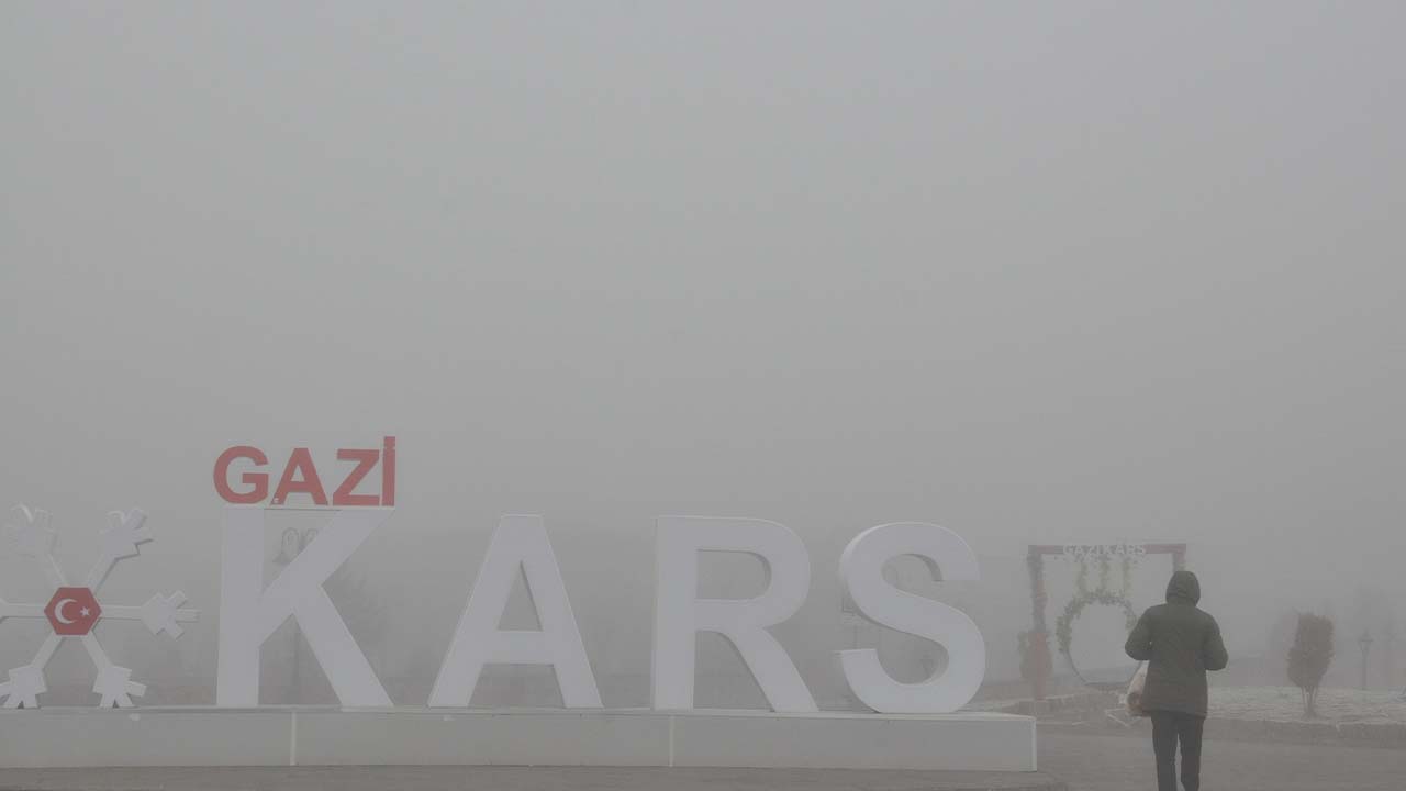 Kars'ta sis etkili oldu