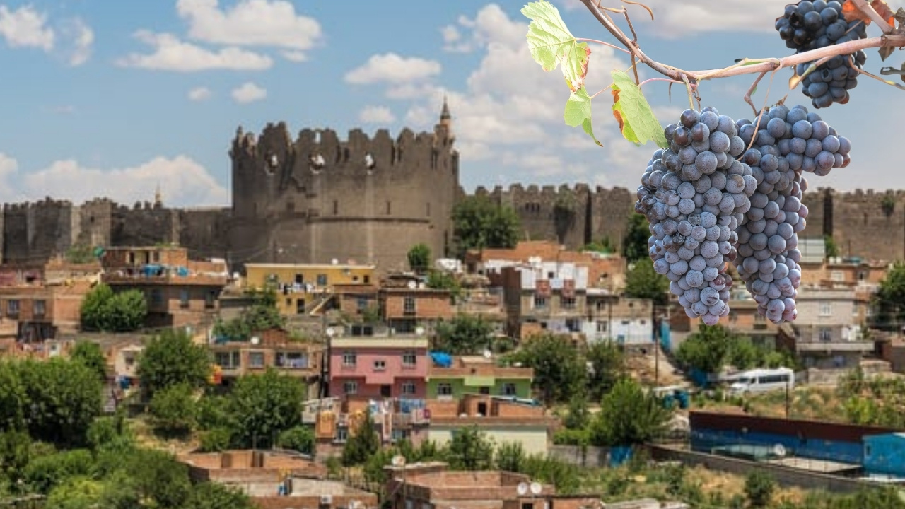 Diyarbakır’da modern bağcılık için adım atıldı: Yüzde 50 hibe