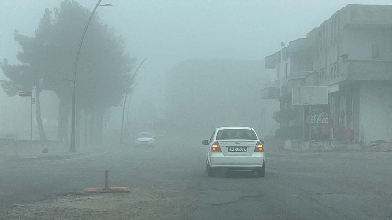 Batman'da sis etkili oldu