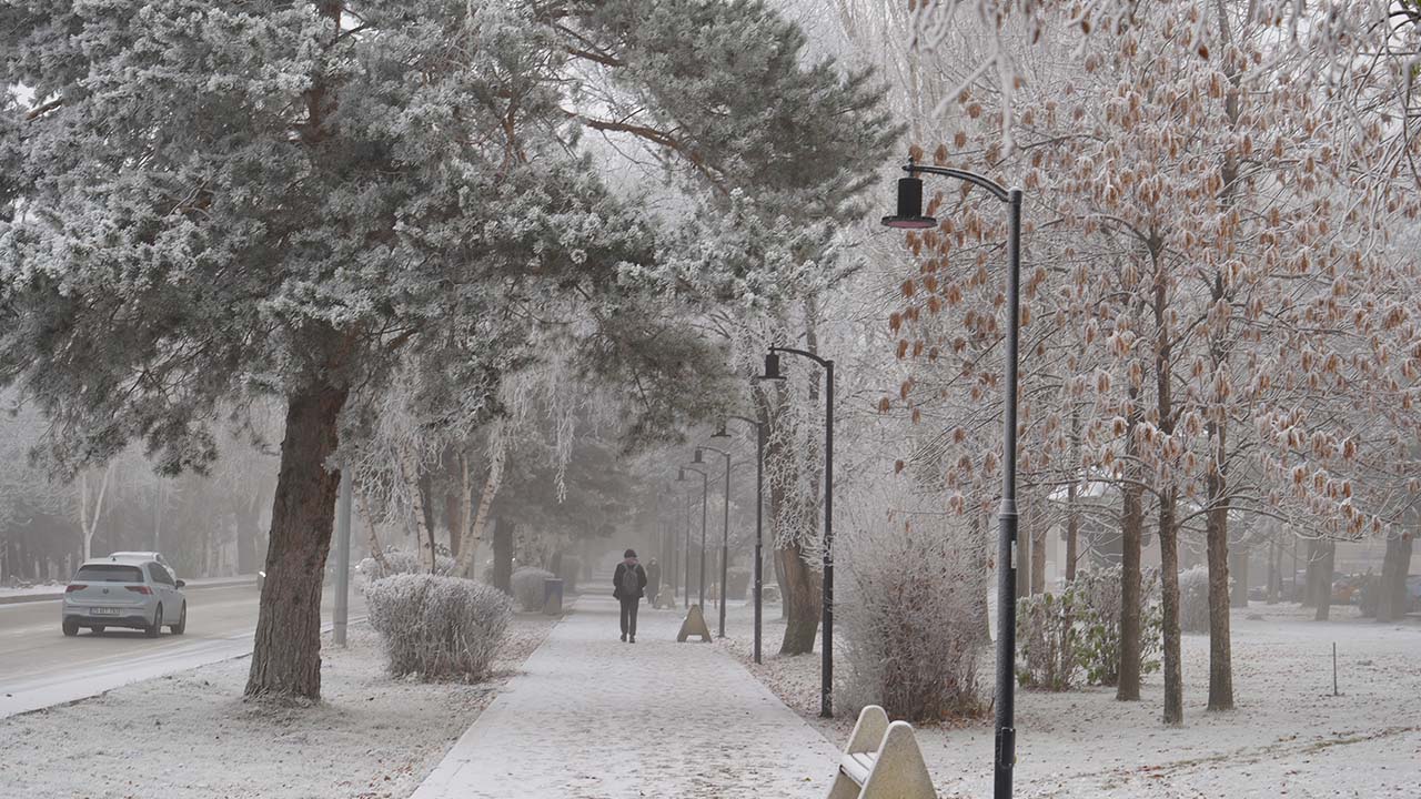 Erzurum sis ve kırağı etkili oldu