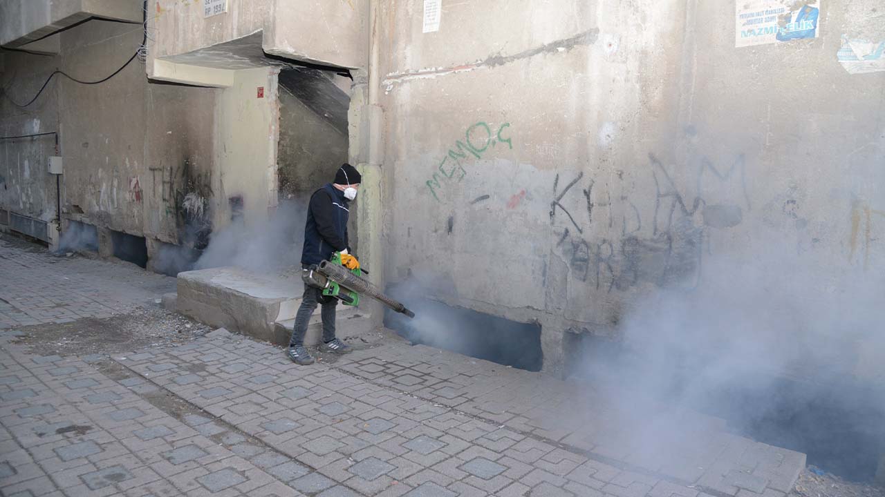 Diyarbakır’da haşerelere karşı kışlak ilaçlama başladı