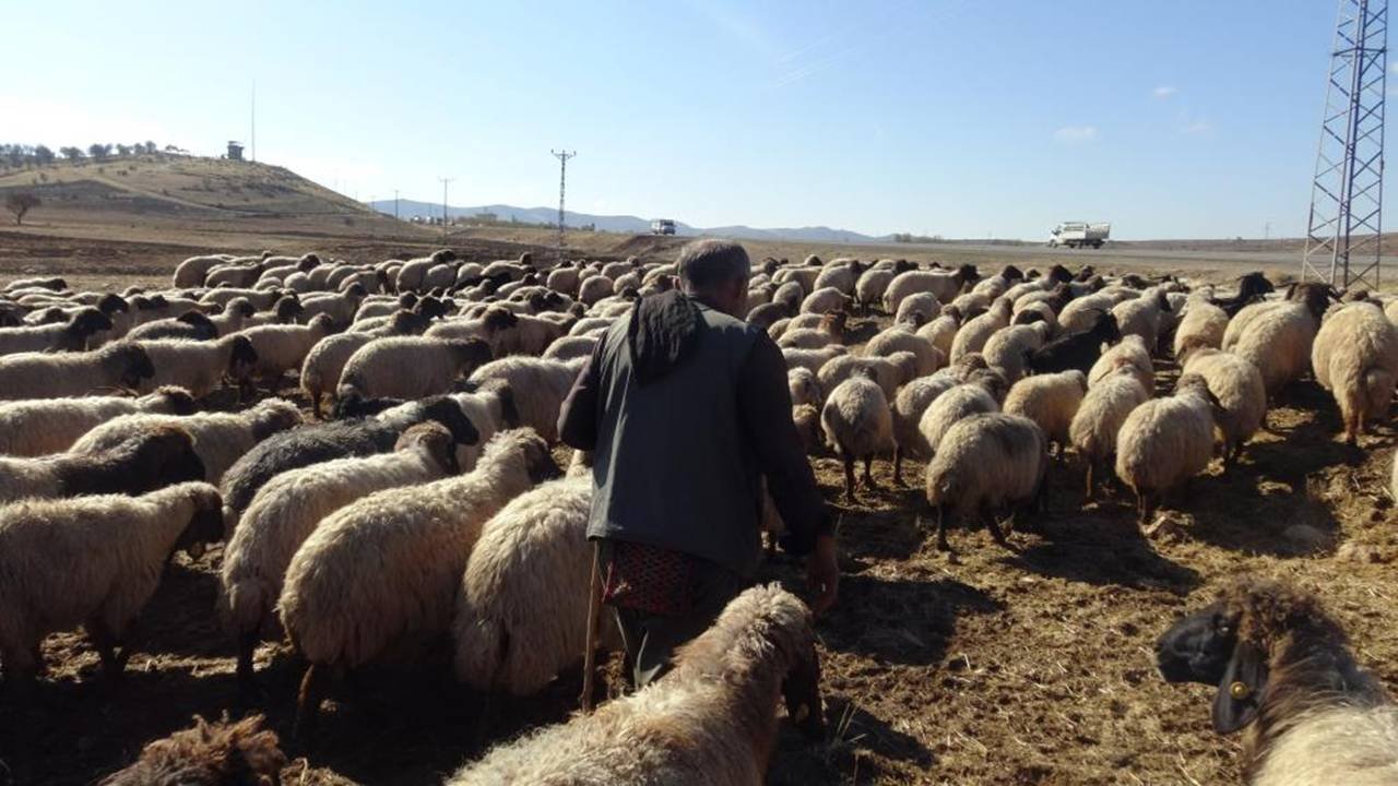 Koçerlerin Van’dan Nusaybin’e yolcuğu başladı