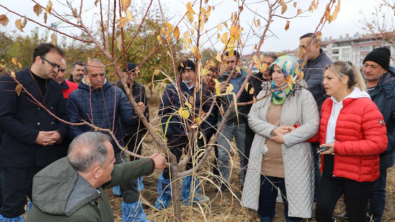Elazığ’da ağaç budama ve aşılama eğitimi verildi