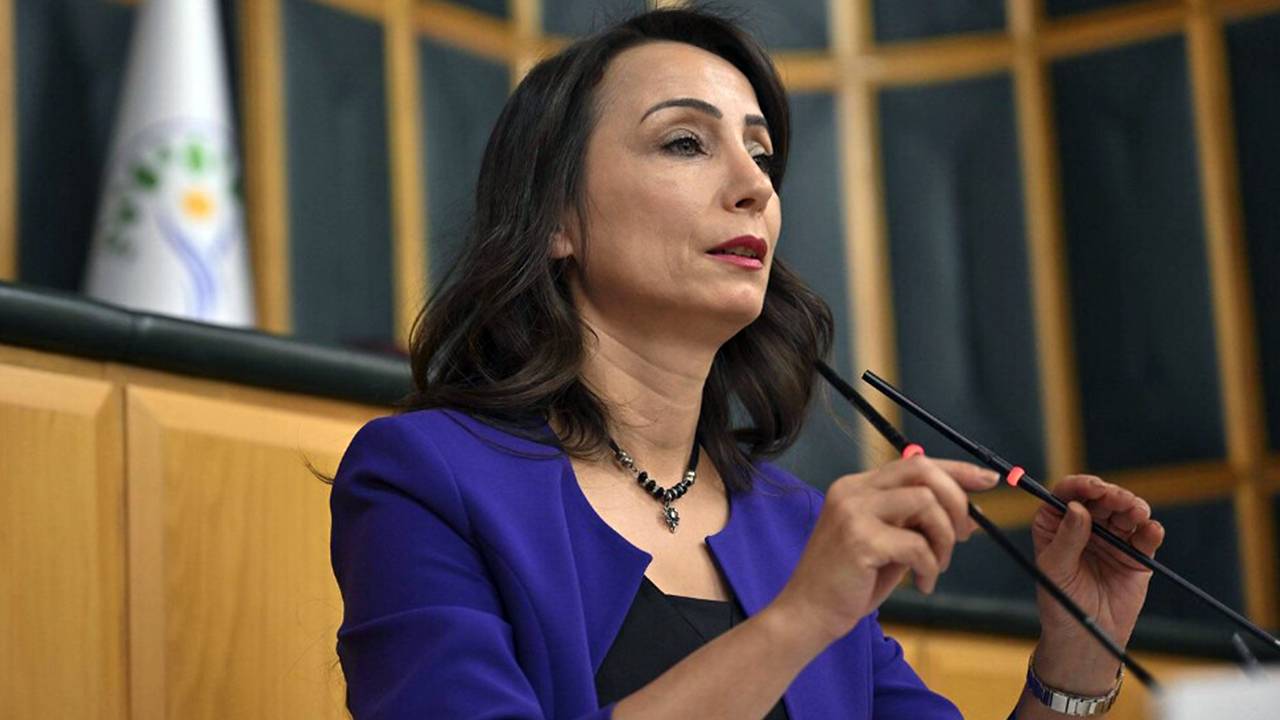 DEM Eş Başkanı o kurumları suçladı: Rojin cinayetini örtüyorlar