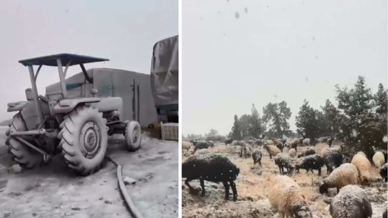 Mersin'de kar yağışı etkili oldu