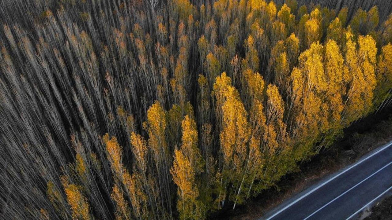 Mardin’de doğadan görsel şölen