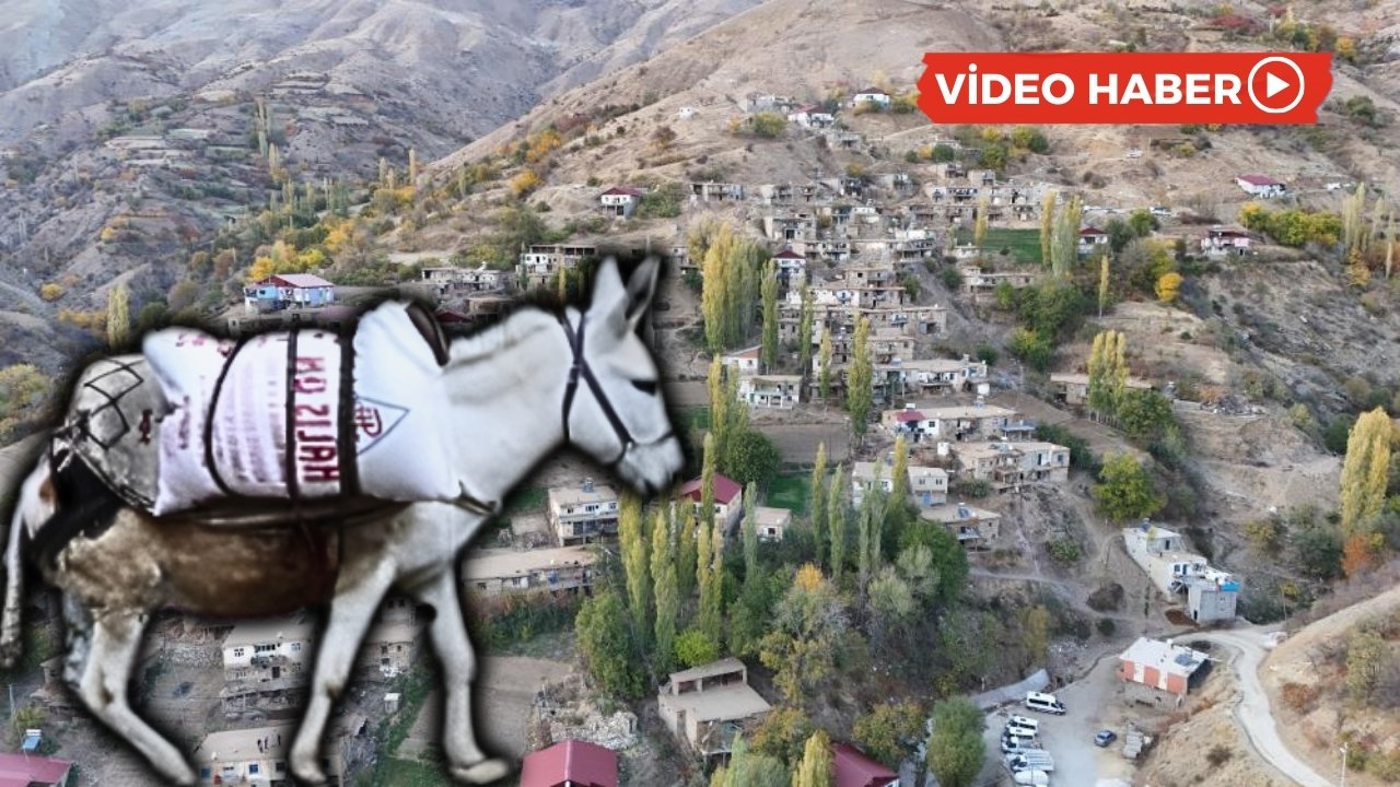 Diyarbakır’da ulaşım eşeklere kaldı