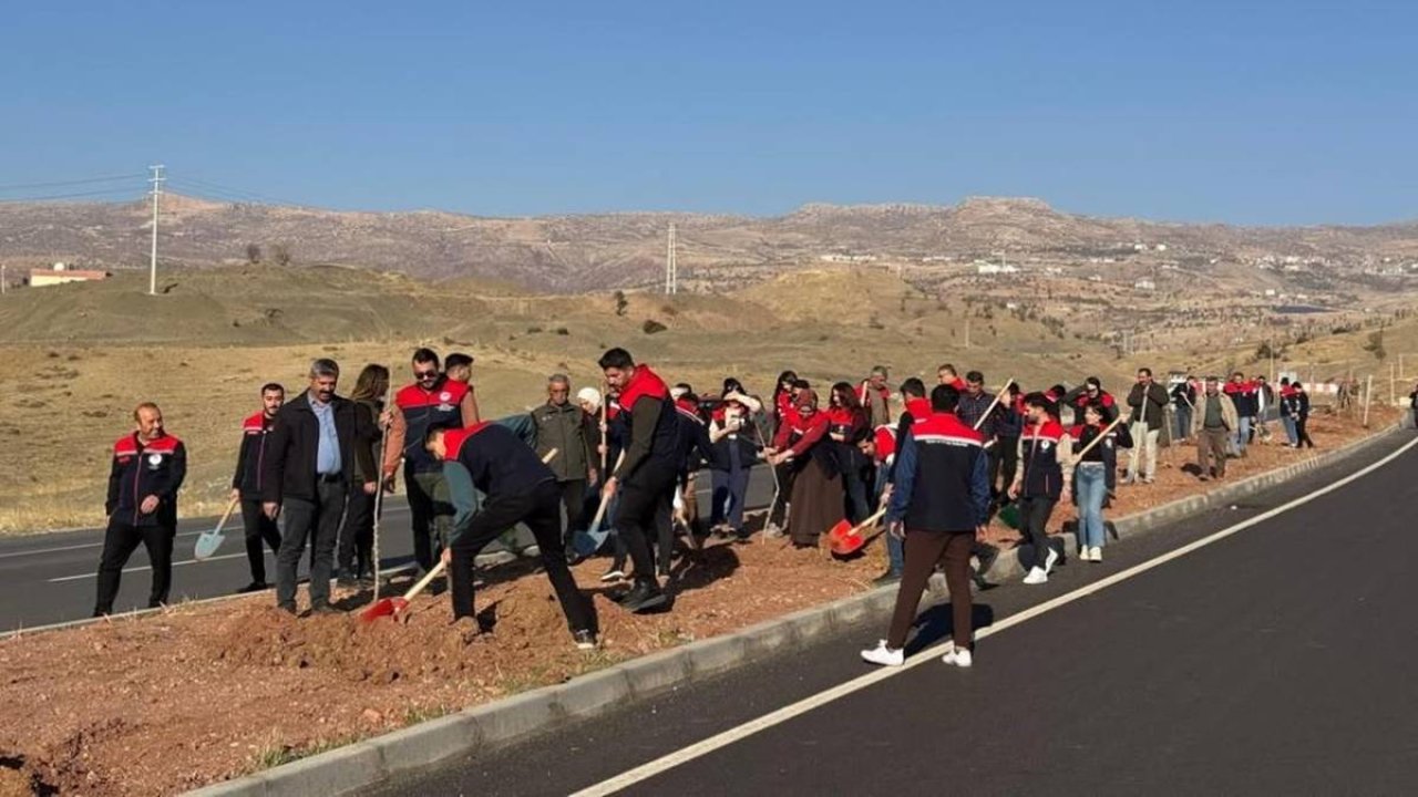 Şırnak-Cizre karayolu 365 fidanla yeşillendi