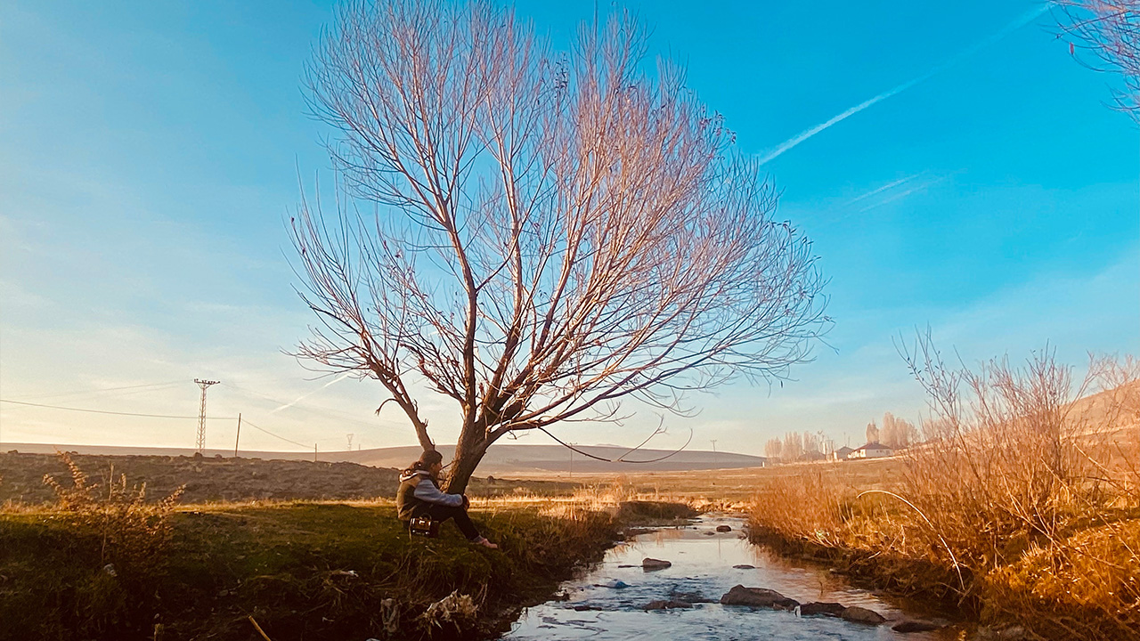 Ağrı’da sonbaharda sararan yapraklar görsel şölen oluşturdu