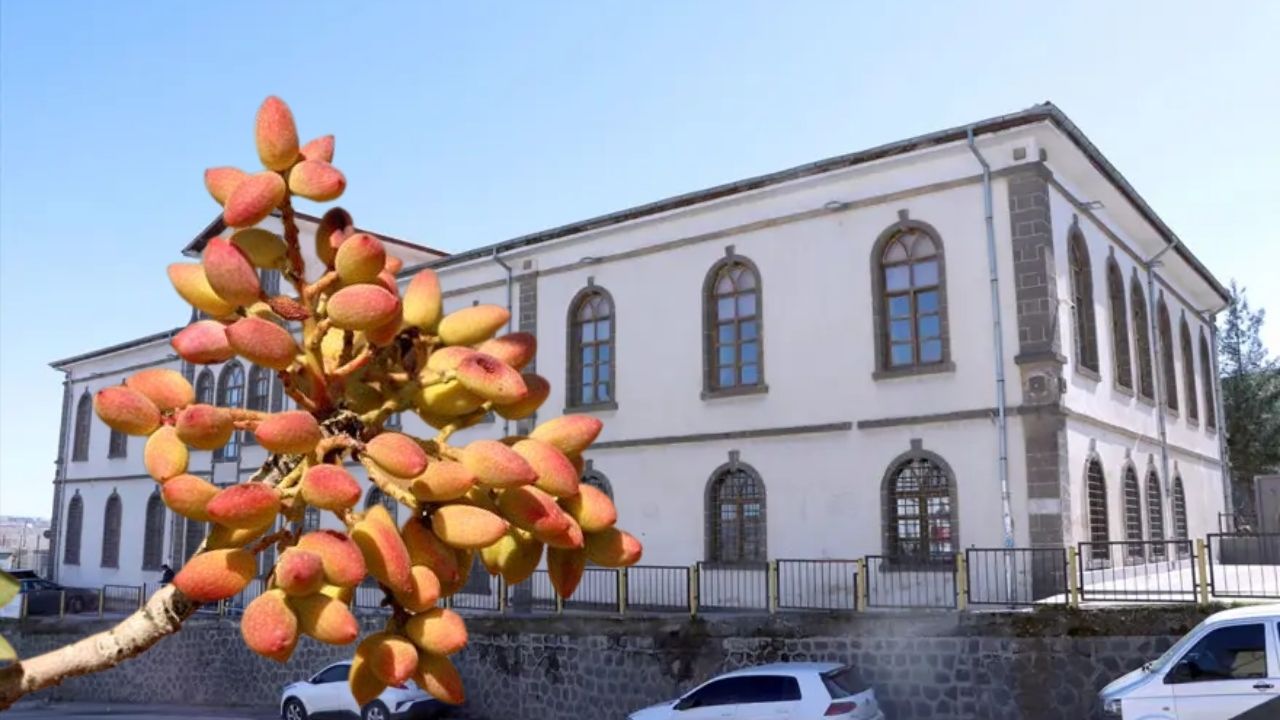 Fıstık üreticileri Diyarbakır’da toplandı