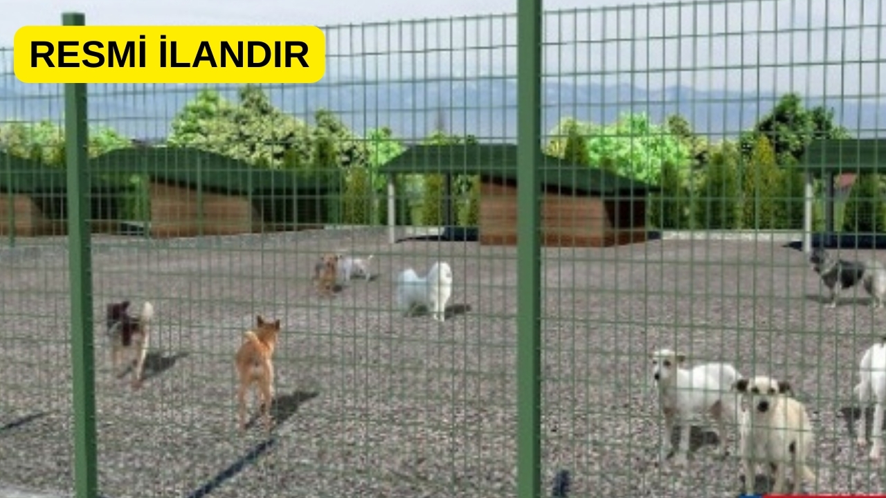 HAYVAN BARINAĞI YAPTIRILACAKTIR