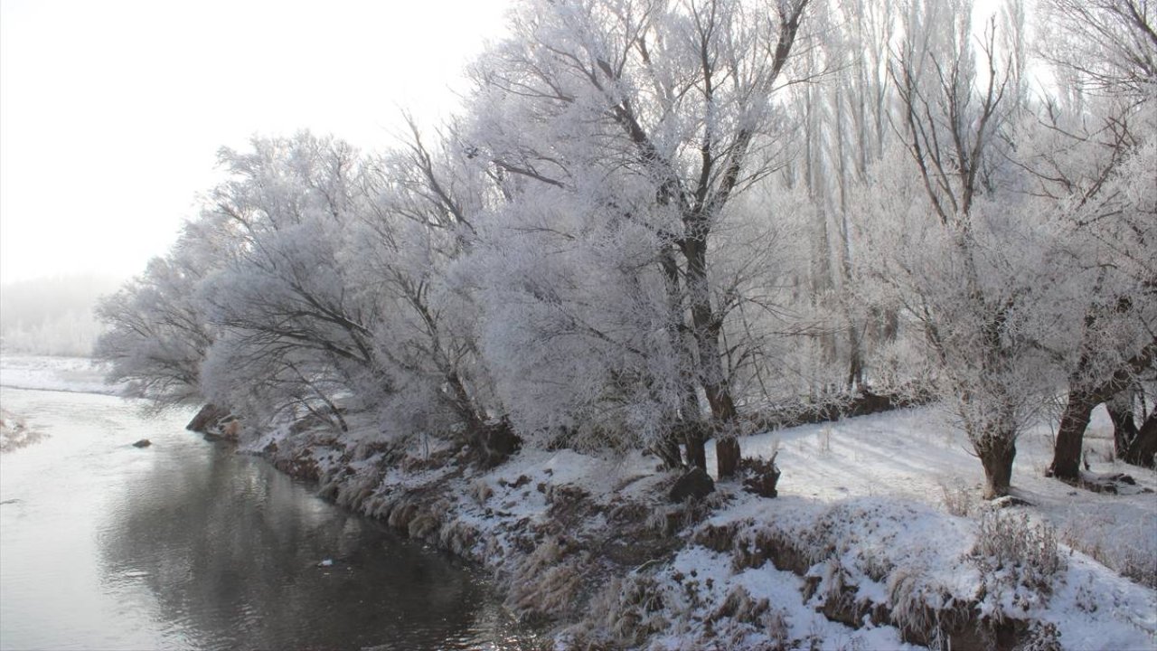Ağrı’da ağaçlar kırağı tuttu