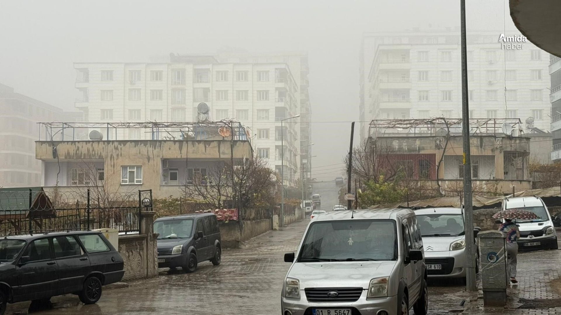 Siirt'te sis ve sağanak yağış hayatı olumsuz etkiledi
