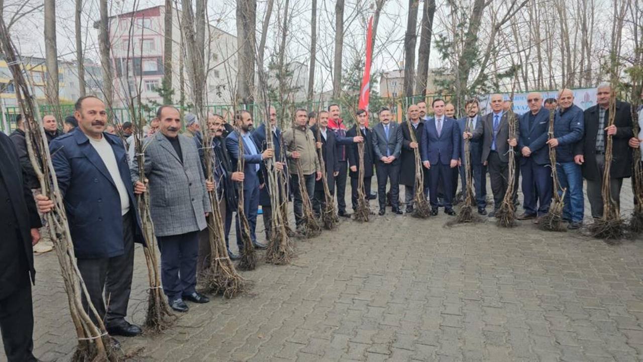 Bitlis’te çiftçiye 12 bin ceviz fidanı dağıtıldı