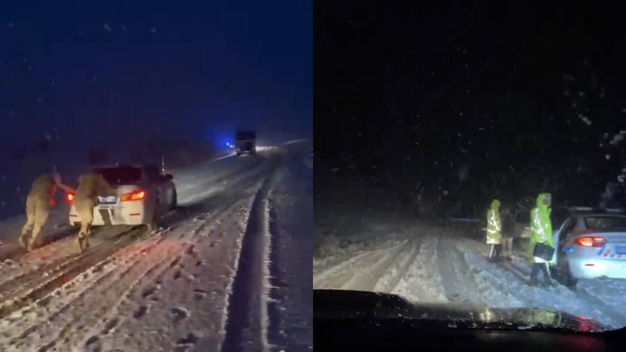 Muş’ta araçlar karda mahsur kaldı