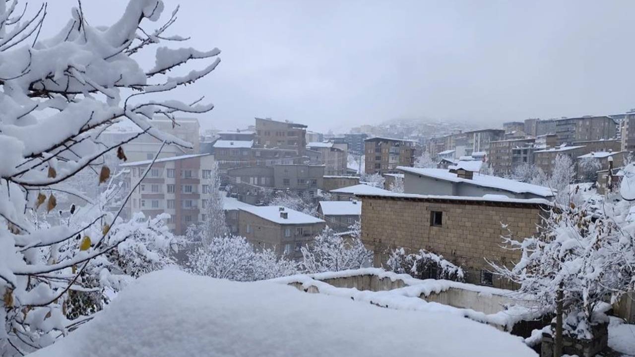 Kar engeli:13 köy, 30 mezra yolu ulaşıma kapandı