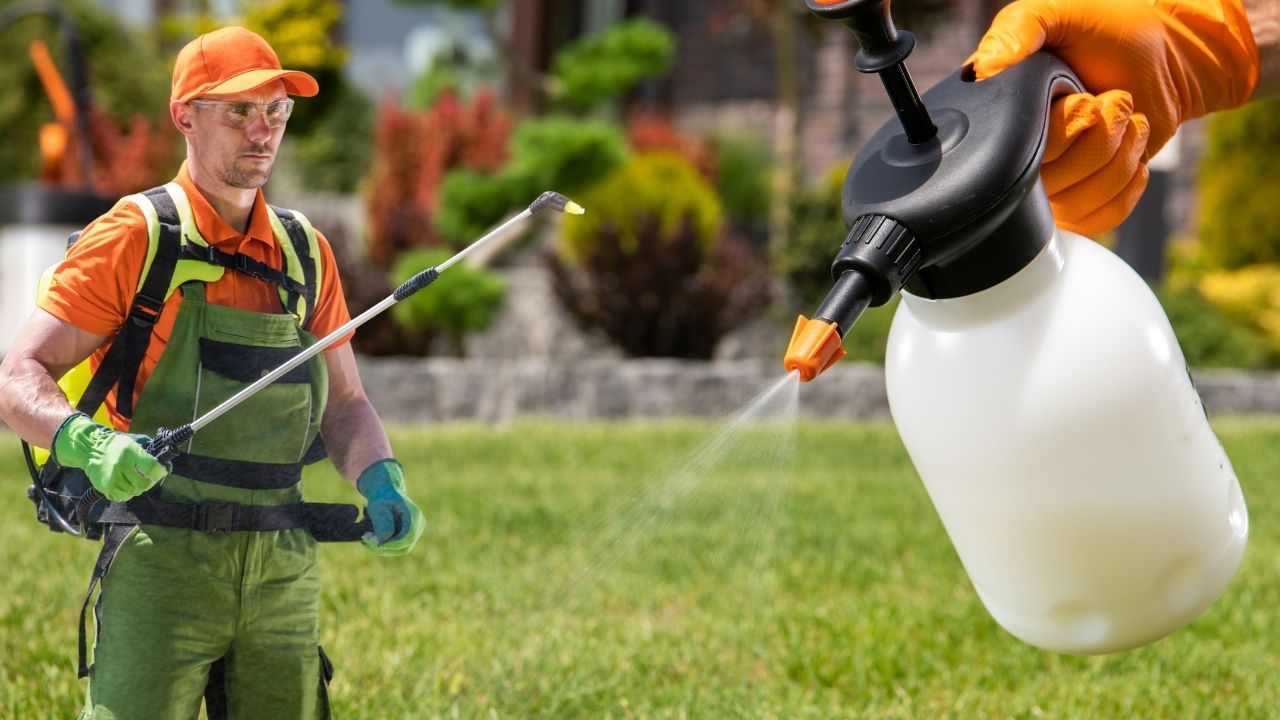 Tarım ve böcek ilaçları için yeni kural: Reçetesiz satışlar yasaklandı