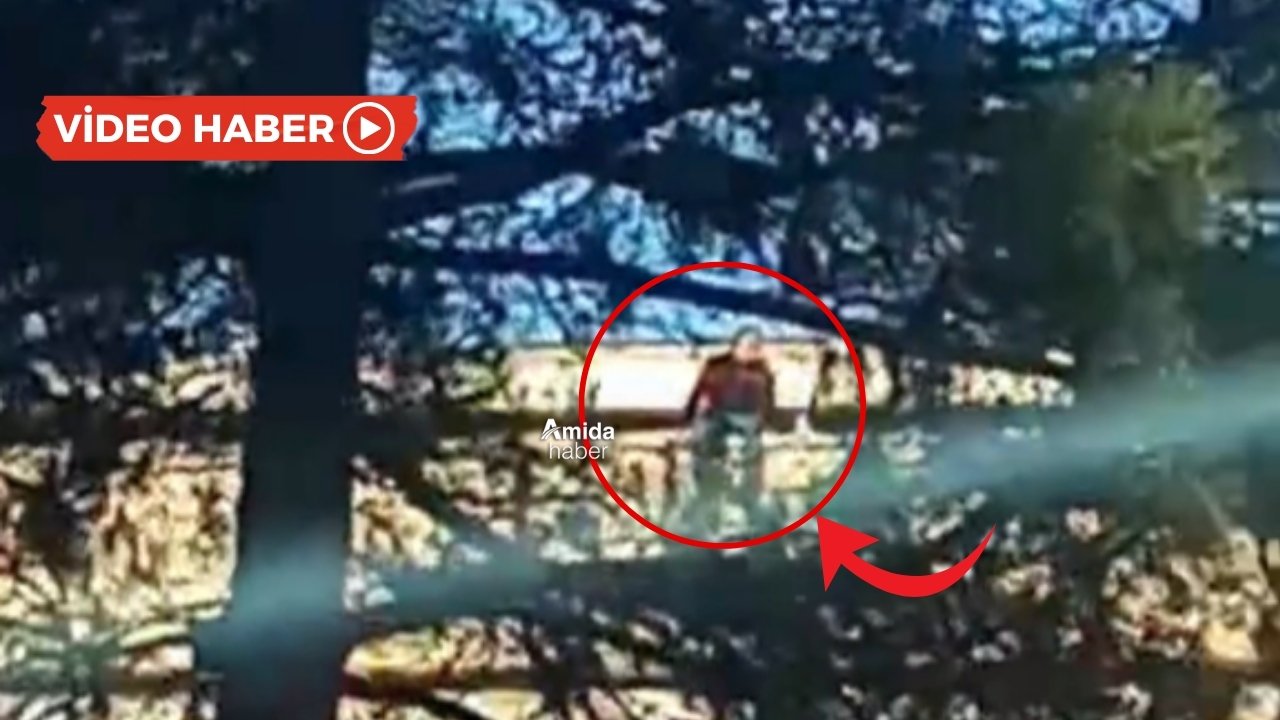 Diyarbakır: Kaçak büfe için belediyenin çatısına çıktı