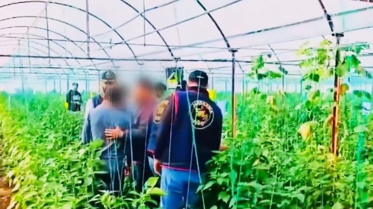 Cinayeti Diyarbakır’da işledi, Antalya’daki serada yakalandı