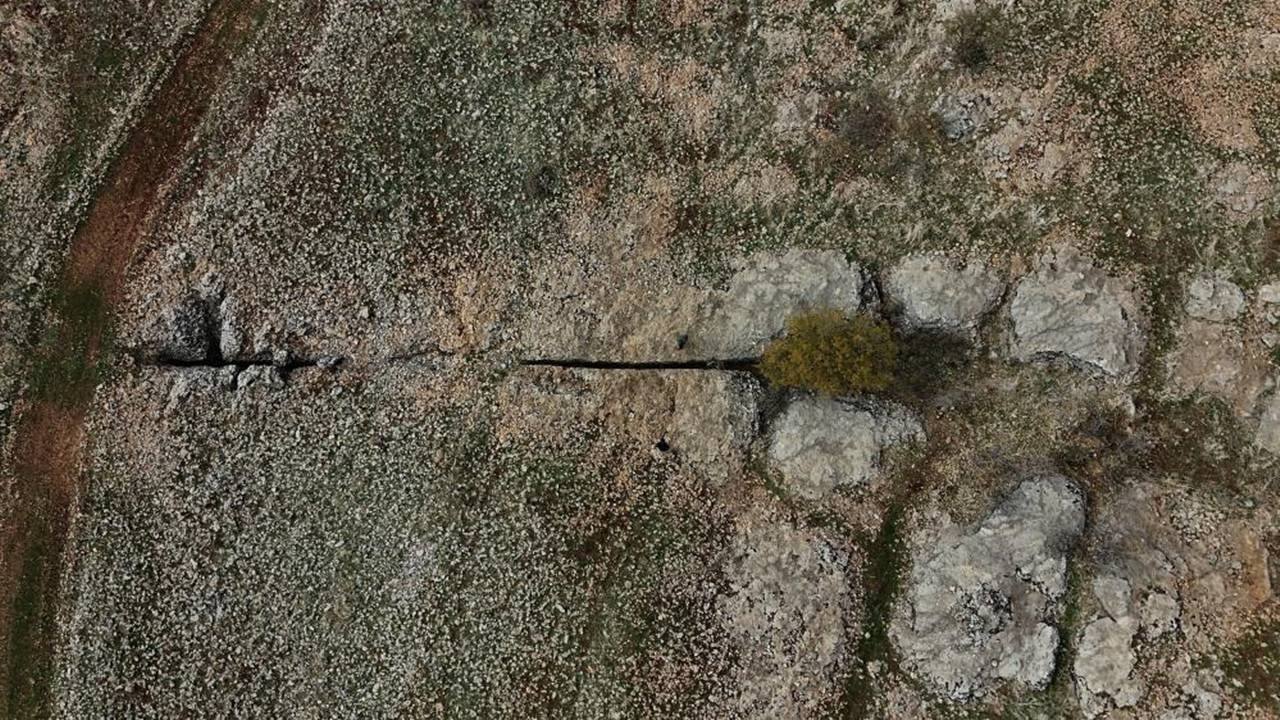 Diyarbakır'da yüz milyonlarca yıllık fosiller bulundu