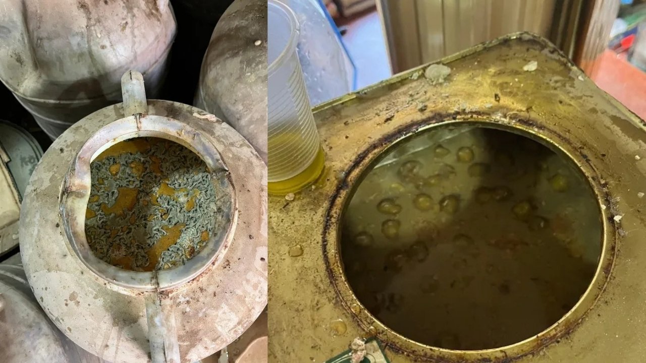 Şanlıurfa’da depoda 1 ton bozulmuş zeytin ele geçirildi