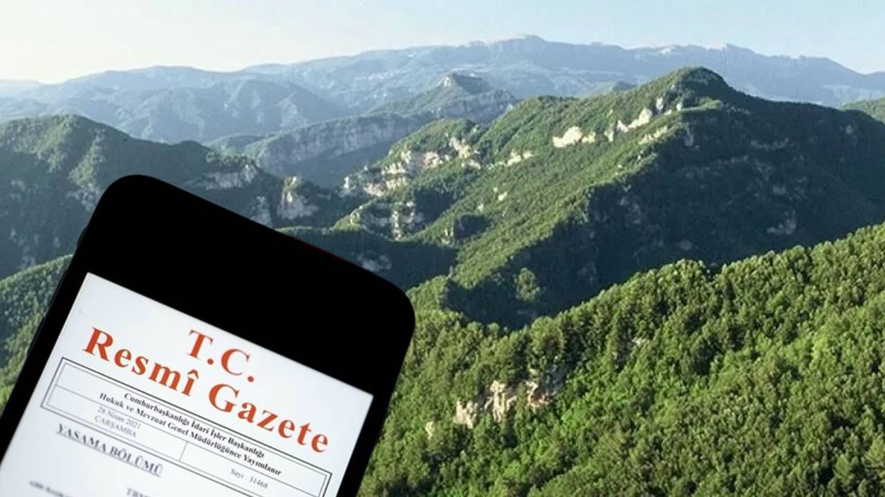 11 ildeki orman sınırları değişti