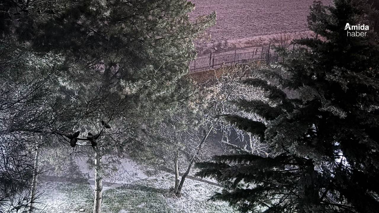 Diyarbakır’da kar yağışı başladı: Valilikten açıklama