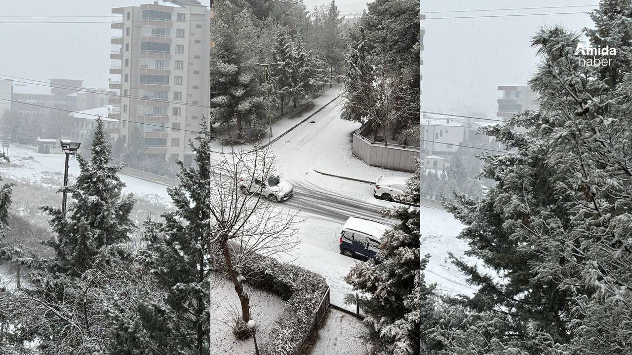 Diyarbakır beyaza büründü: Okullar tatil olacak mı?