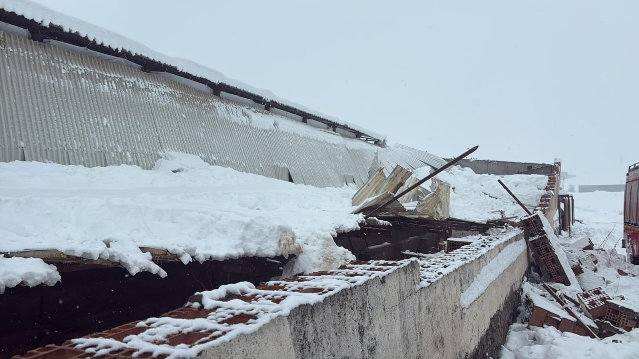 Diyarbakır’da ahırın çatısı çöktü: 11 hayvan öldü