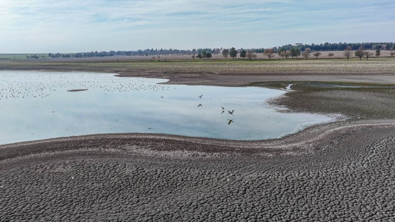 İklim değişikliği Diyarbakır’daki Kabaklı Göleti’ni kuruttu