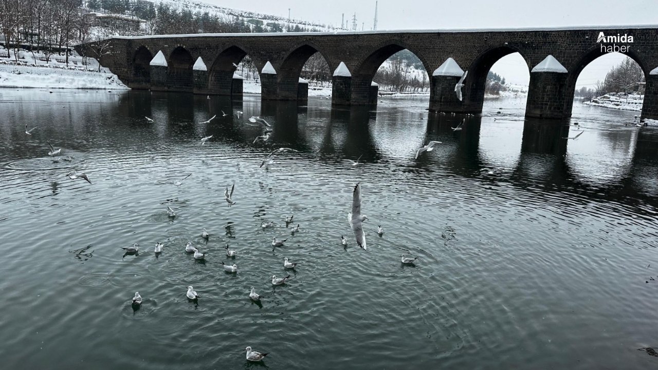 Dicle Nehri’nden muhteşem kış görüntüleri!
