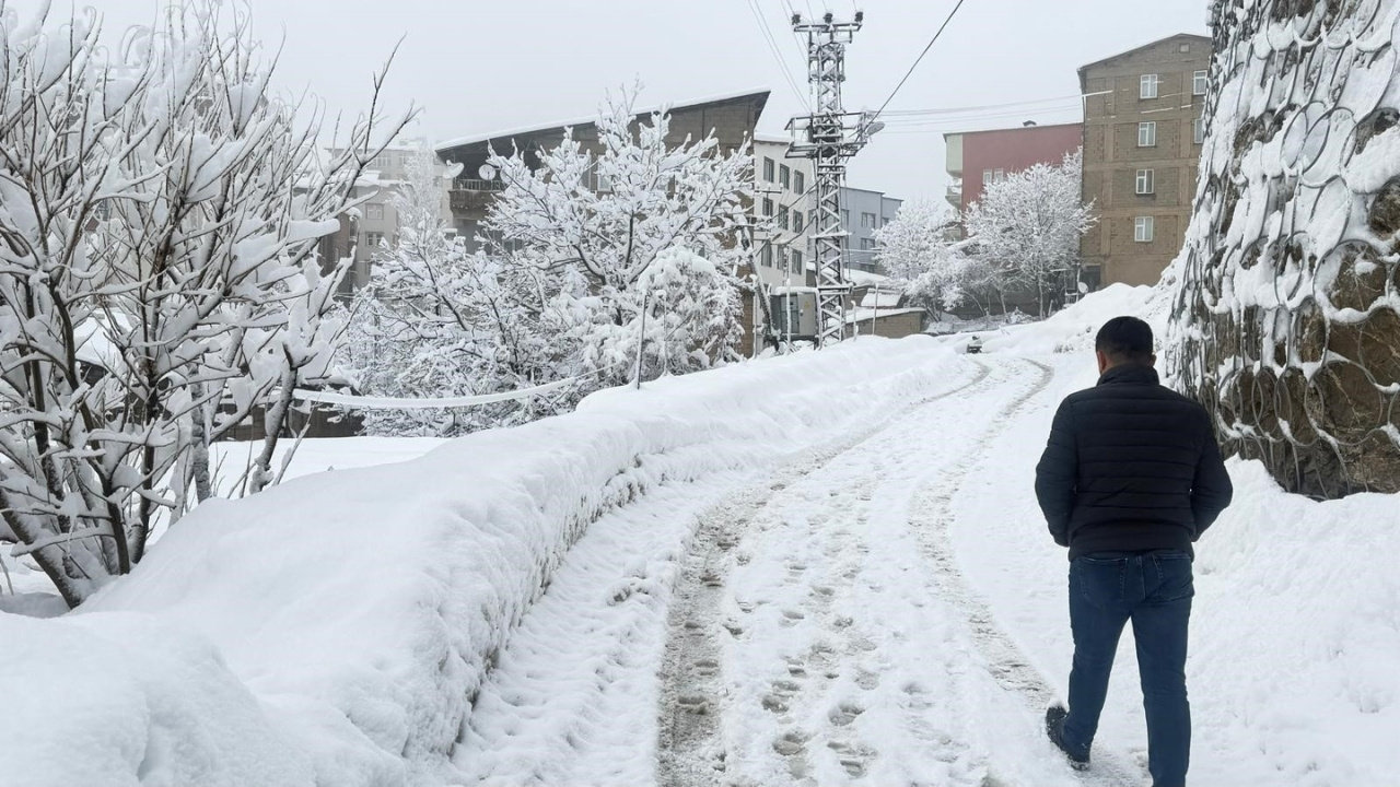 Hakkari'de 310 yerleşim yeri ulaşıma yeniden açıldı