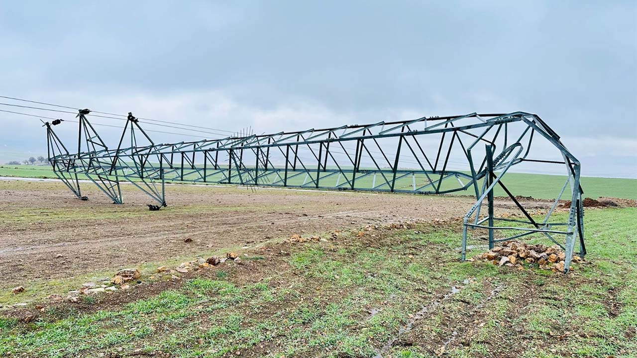 Mardin'de pes dedirten hırsızlık