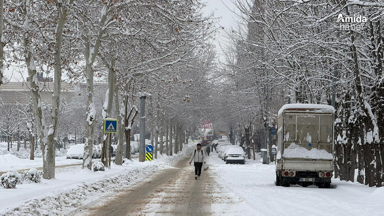 Diyarbakır'da kar yağışı: Uçak seferleri iptal edildi