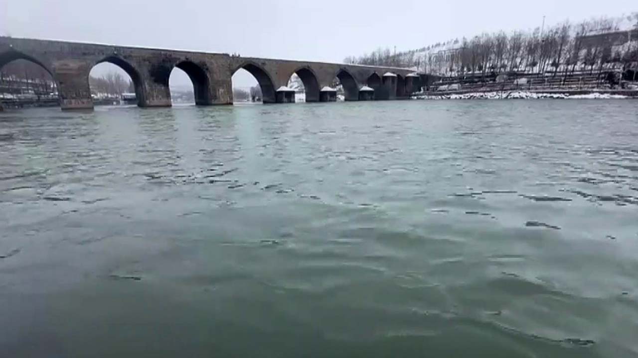 Diyarbakır’da sular yükseldi, martılar geri döndü