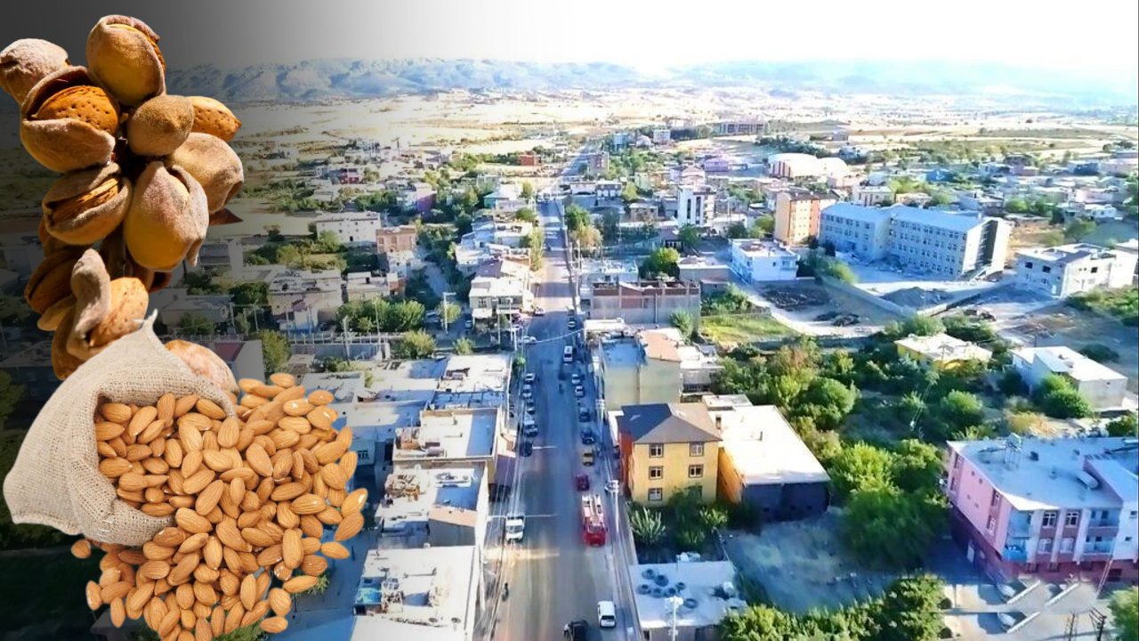 Diyarbakır’da 340 ton madem üretildi