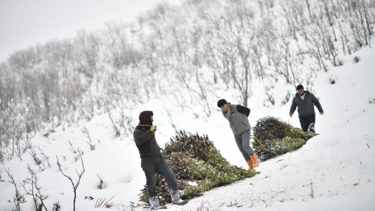Muş’ta kar üstünde kızakla besicilik