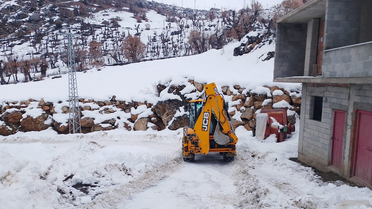 Siirt’te kar yağışı etkili oldu
