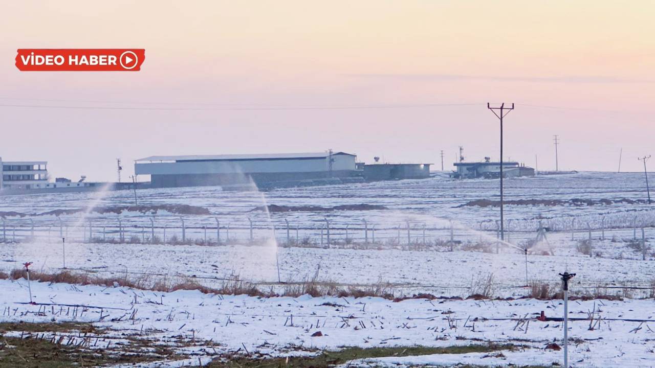 Şanlıurfa’da skandal: Karla kaplı arazide sulama