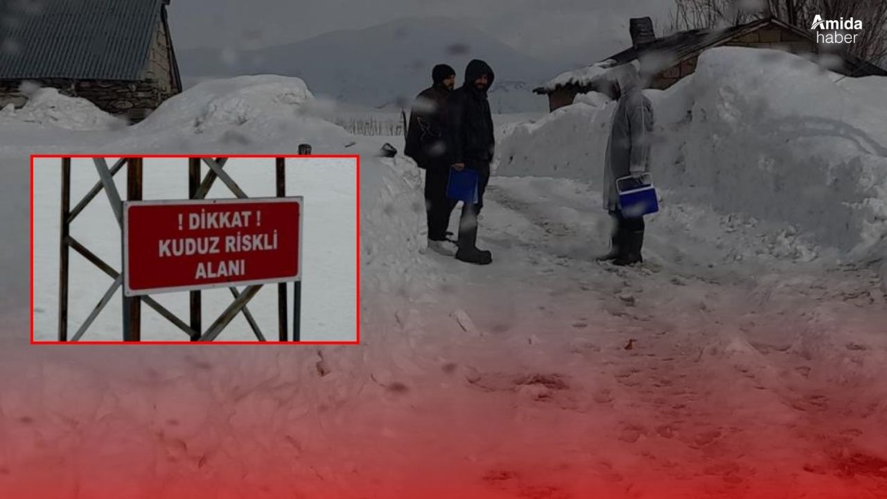 Eşekte kuduz tespit edildi, köy kapatıldı