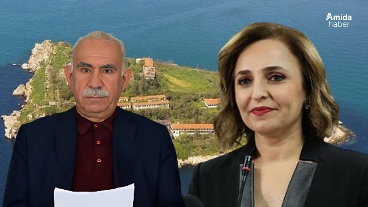 İmralı’ya gazeteci gönderilecek mi? DEM Parti'den açıklama